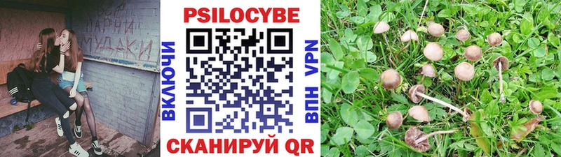 Купить где  Верхоянск  Псилоцибиновые грибы мицелий 